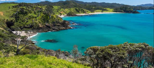 Escursione alla Bay of Islands