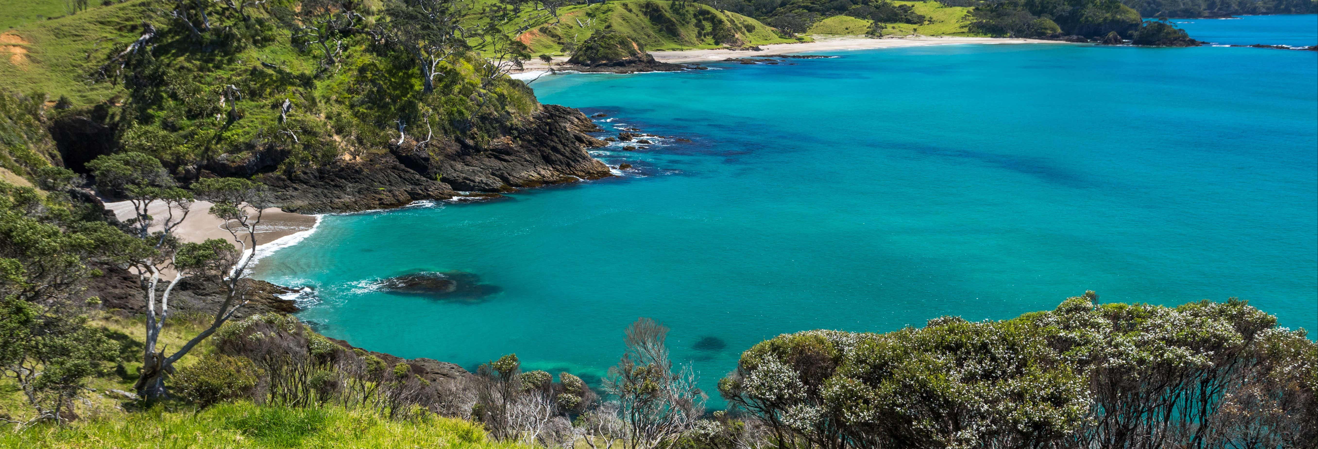 Excursão à Baía das Ilhas