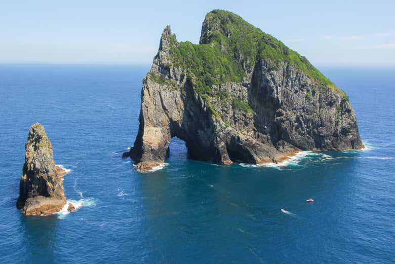 Imagen 7