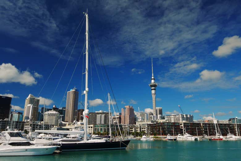 Auckland Private Tour