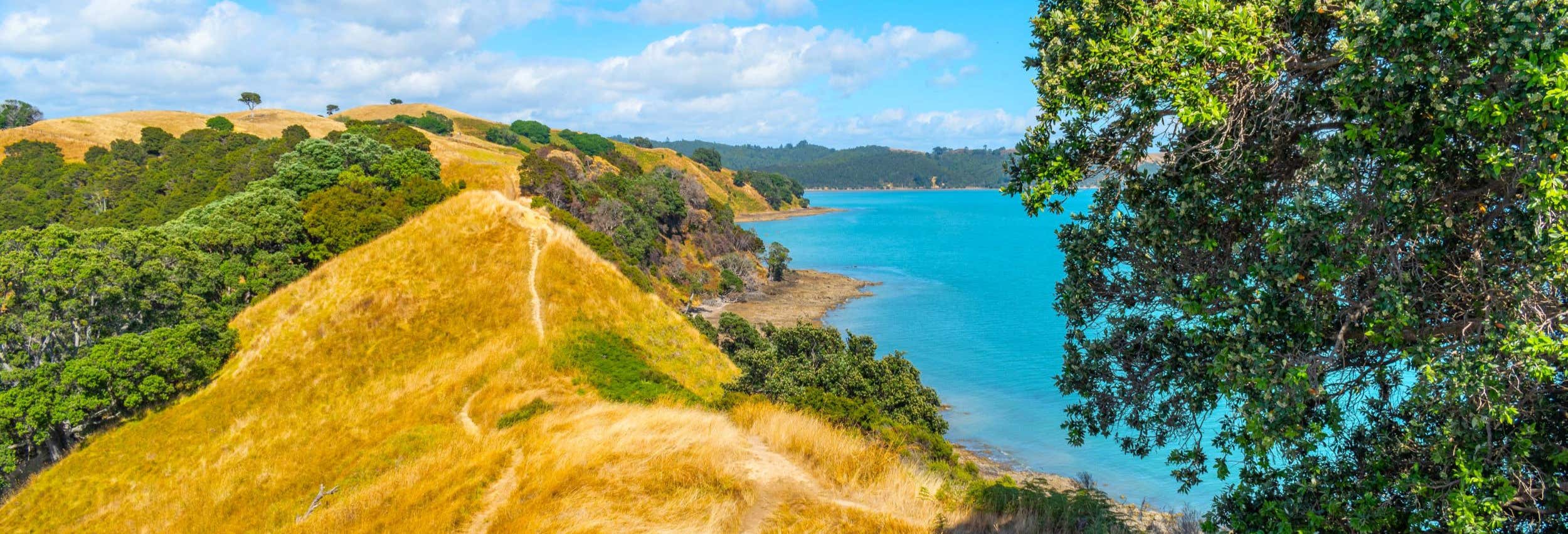 Duder Regional Park Hiking Tour