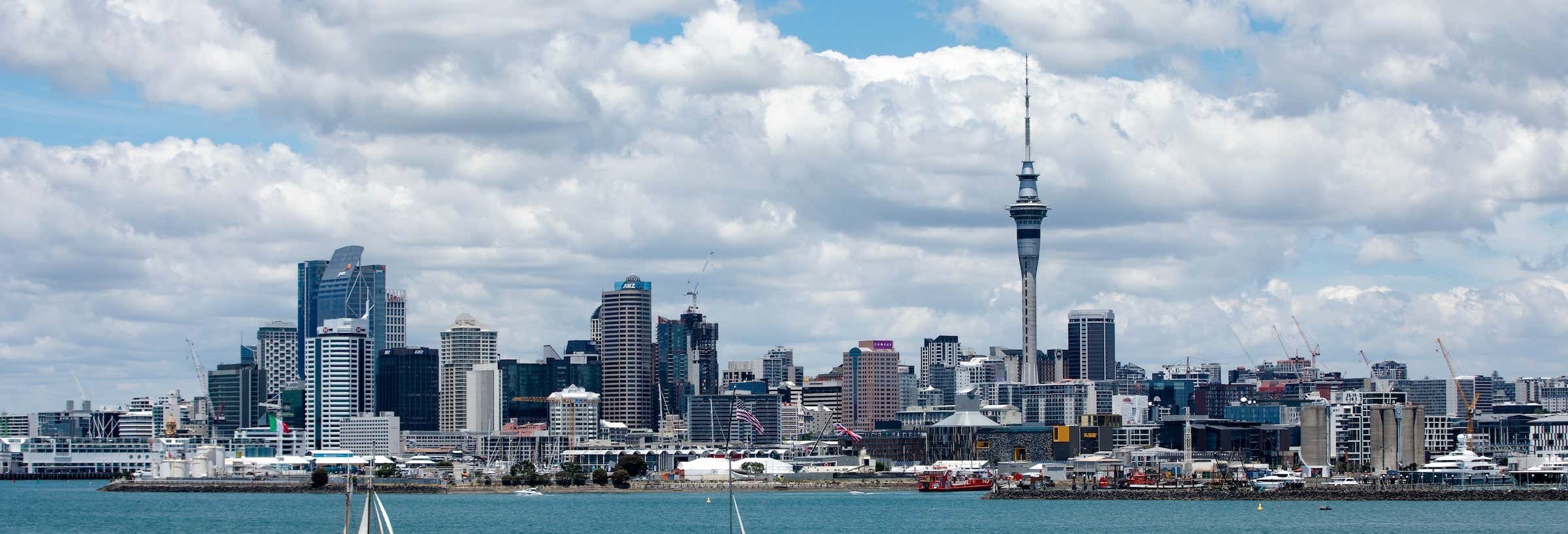 Tour da cerveja por Auckland
