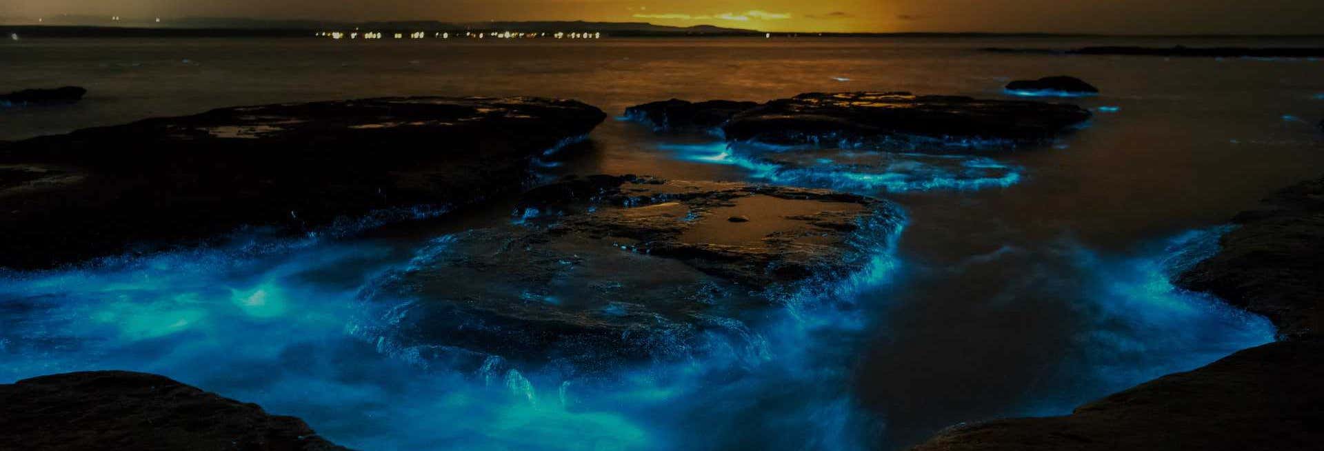 Bioluminescence Kayaking Tour