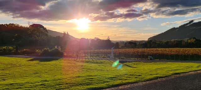 Tour dei vigneti e delle cantine a Hawke's Bay