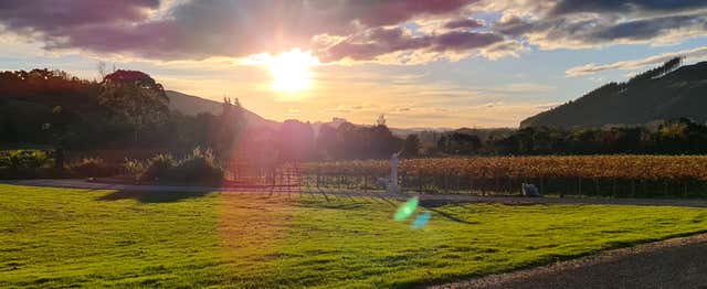 Visite des vignobles et caves de Hawke's Bay