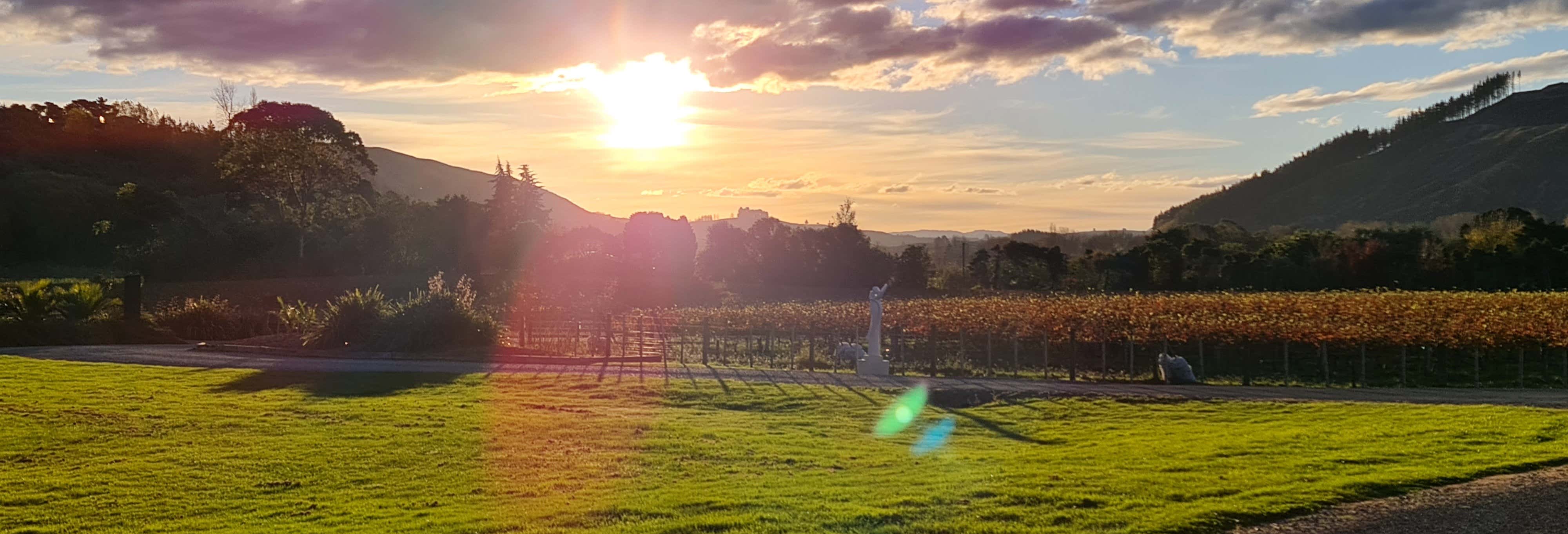 Tour dei vigneti e delle cantine a Hawke's Bay