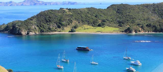 Escursione a Bay of Islands in barca