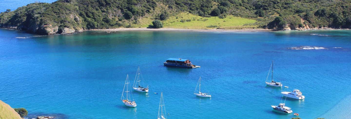 Escursione a Bay of Islands in barca