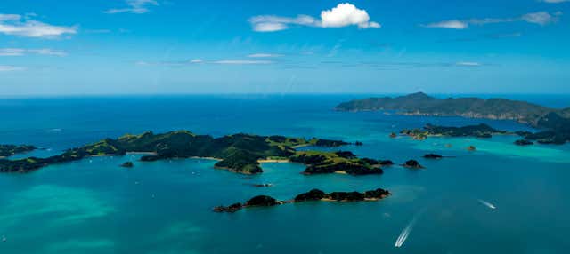 Tour di Bay of Islands in catamarano