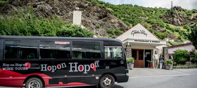 Autobus turistico dei vigneti di Queenstown
