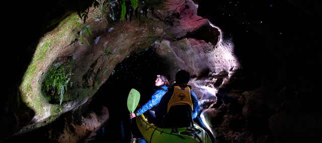 Tour delle Glow Worm Caves in kayak