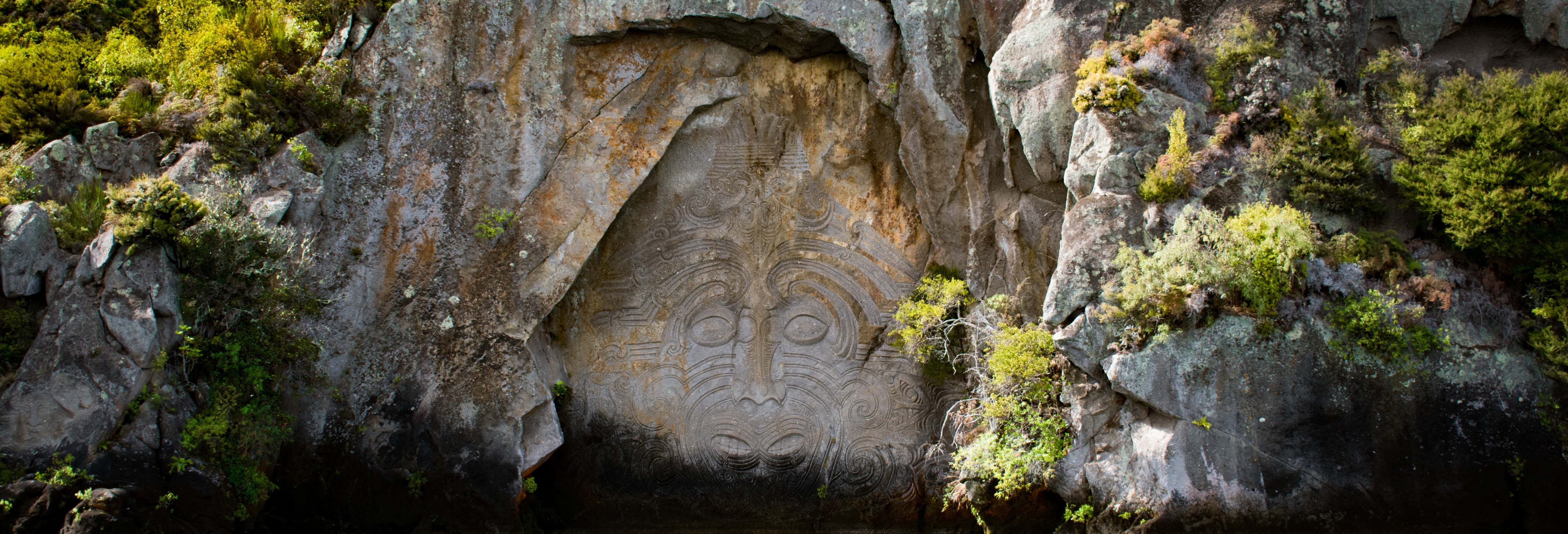 Māori Rock Carvings Sailing Tour