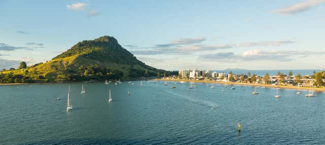 Giro in barca a Tauranga