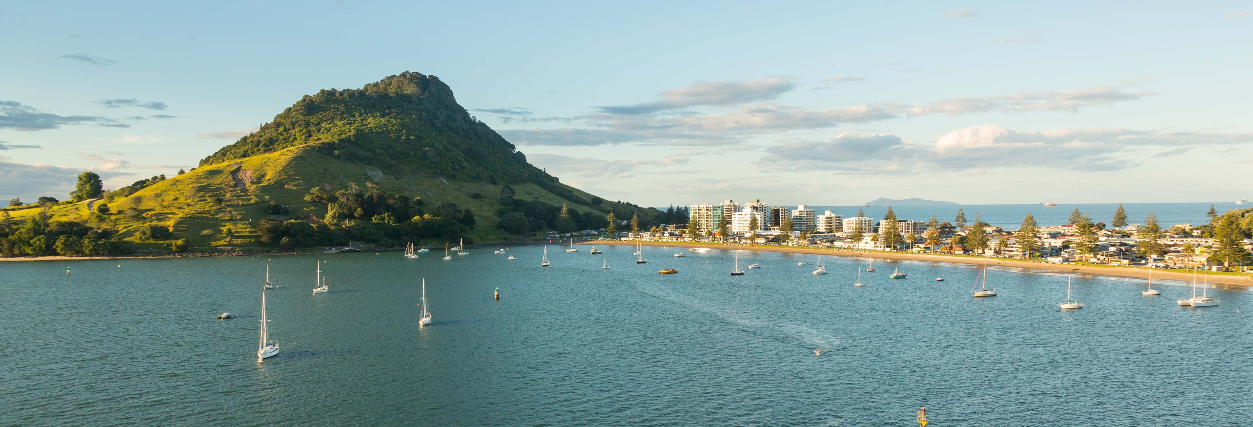 Giro in barca a Tauranga