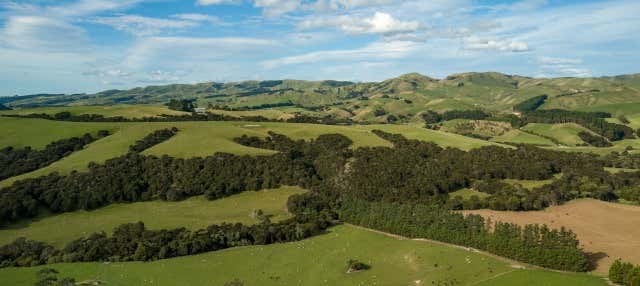 Tour del vino a Martinborough