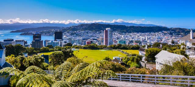 Visita guidata di Wellington