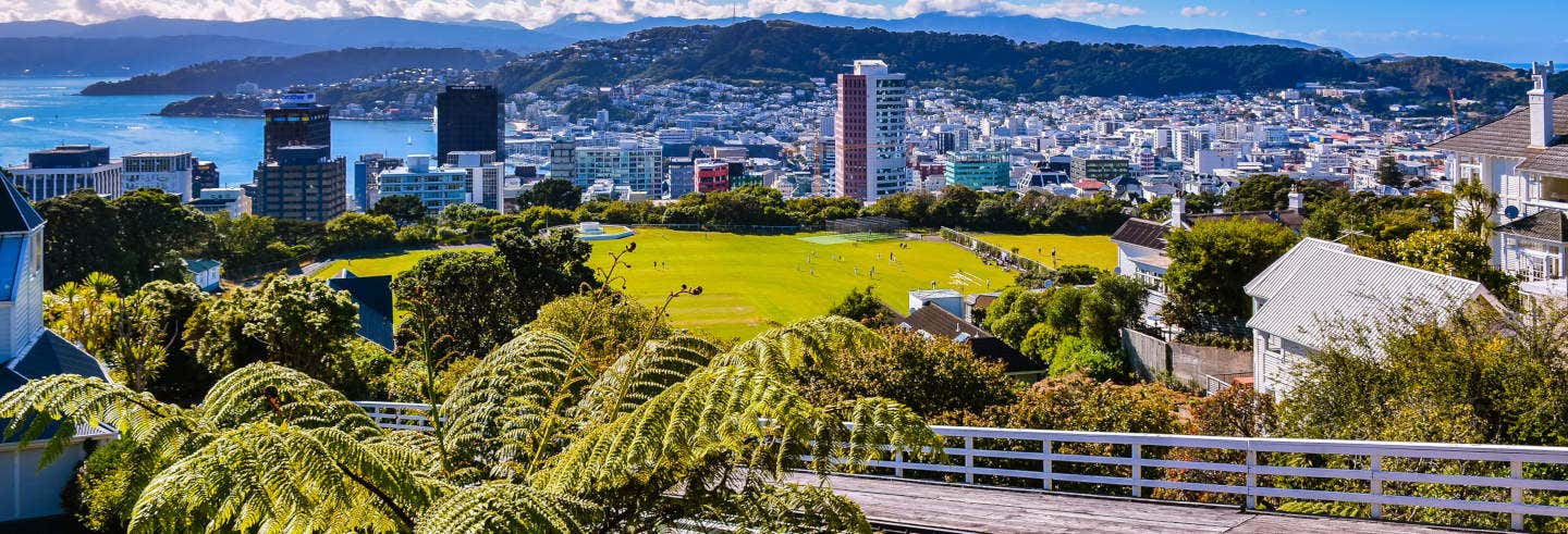 Visita guidata di Wellington