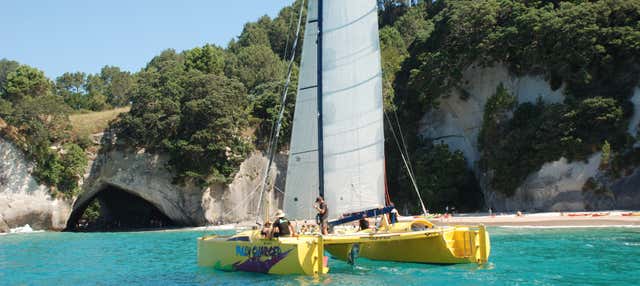 Noleggio barca con skipper a Whitianga