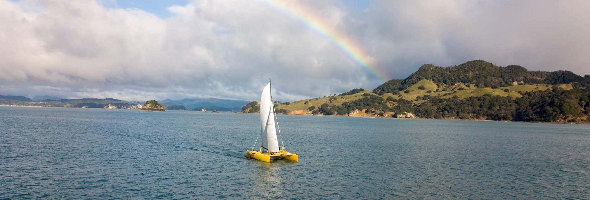 Coromandel Coast Boat Tour