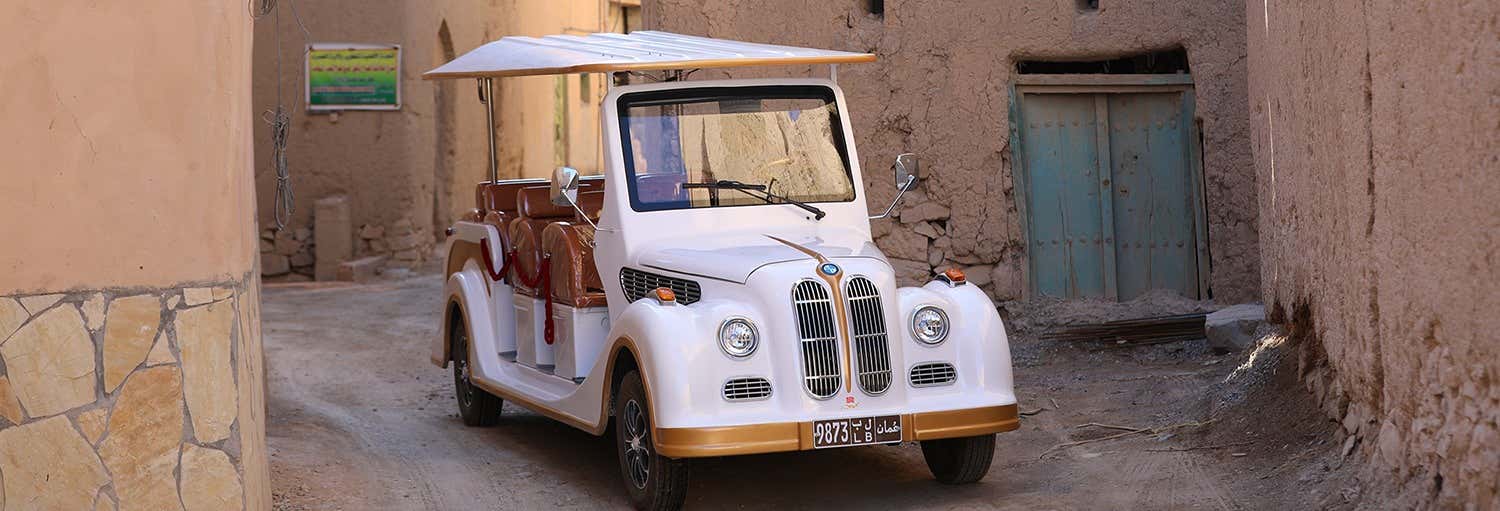 Private Buggy Tour of Al Hamra