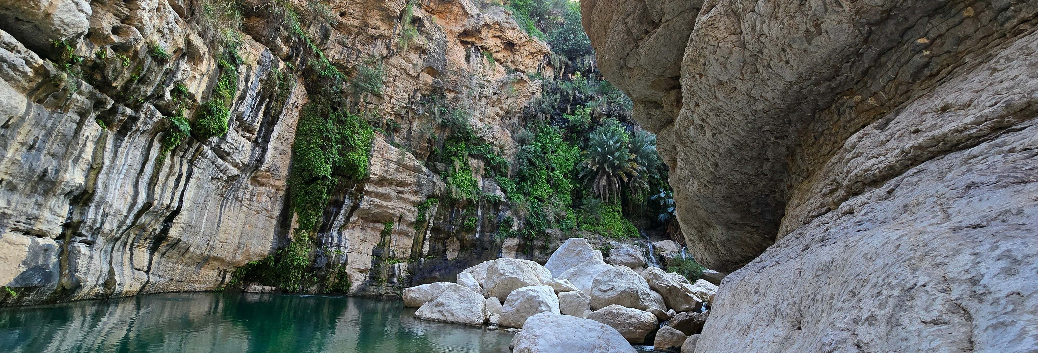Esperienza privata di torrentismo e discesa in corda doppia a Wadi Tiwi