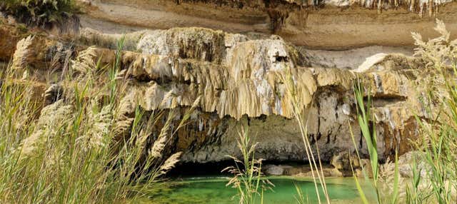 Escursione privata a Mirbat, Hasik e Wadi Ash Shuwaymiyyah