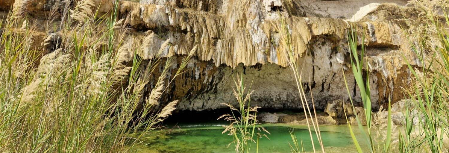 Escursione privata a Mirbat, Hasik e Wadi Ash Shuwaymiyyah