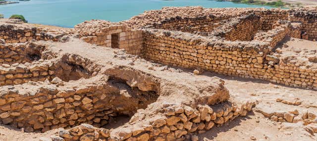 Tour privato dell'est di Salalah