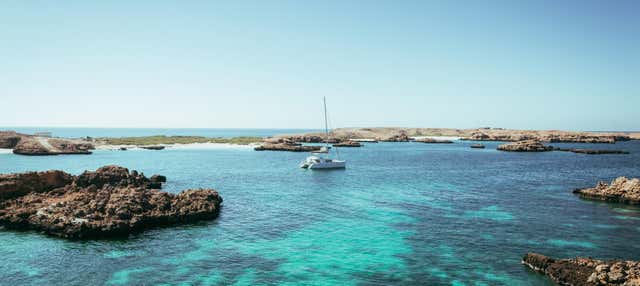 Snorkeling nelle isole Daymaniyat