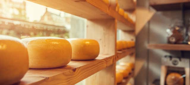 Degustazione di formaggi olandesi