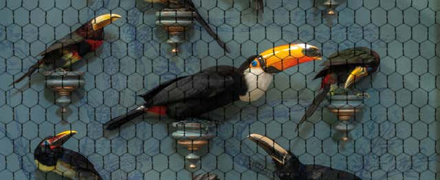 Billet pour Art Zoo Museum avec audioguide