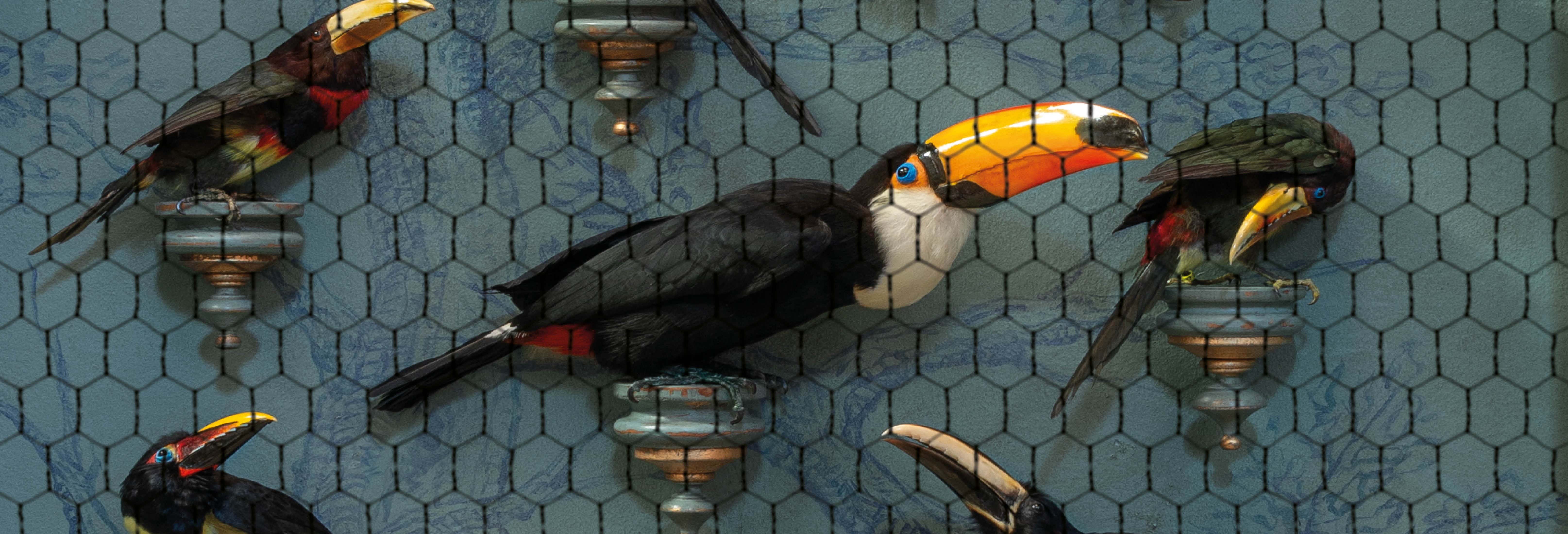 Art Zoo Museum Tickets + Audio Guide