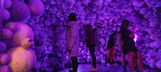 Biglietti per il Museo Moco di Amsterdam