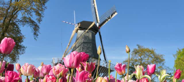 Escursione a Keukenhof e Zaanse Schans