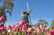 Excursão a Keukenhof e Zaanse Schans