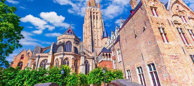 Escursione privata da Amsterdam