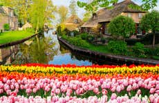 Zaanse Schans & Giethoorn Day Trip