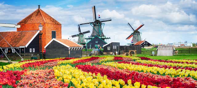 Excursión a Zaanse Schans