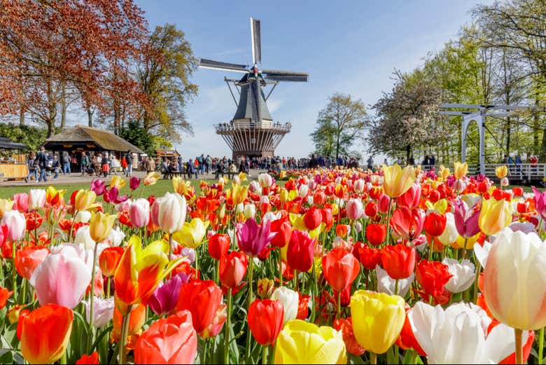 Imagen 10