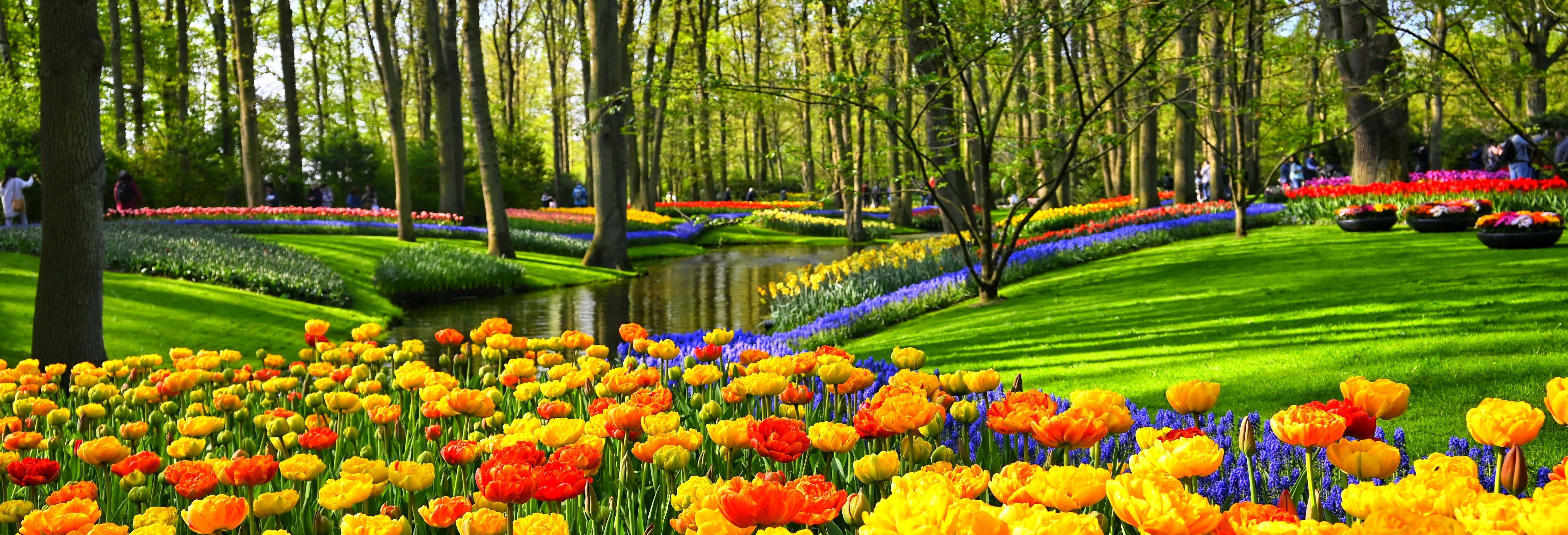 Trasporto e biglietti per Keukenhof + Giro in barca ai mulini dei laghi Kaag