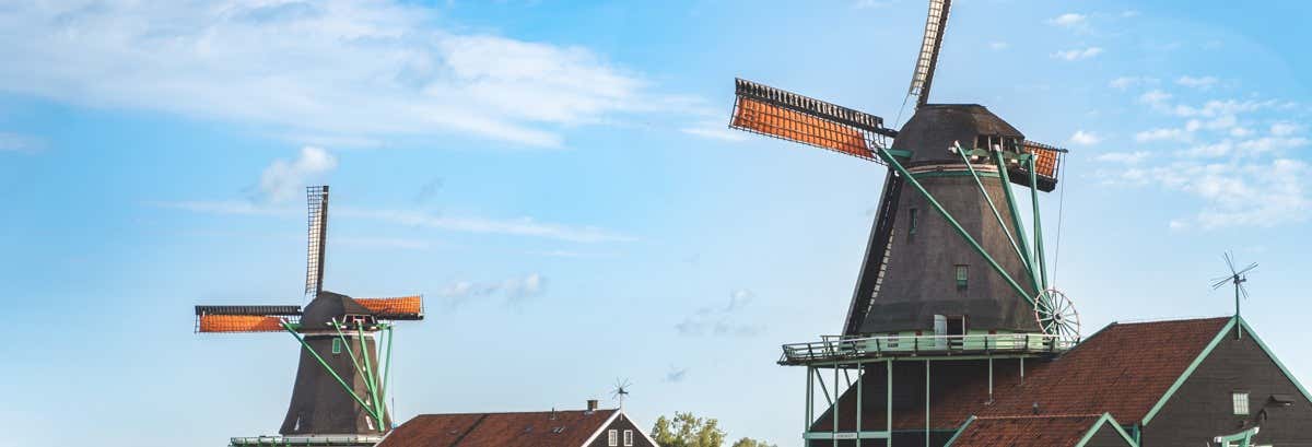 Escursione express a Volendam, Marken, Edam e Zaanse Schans
