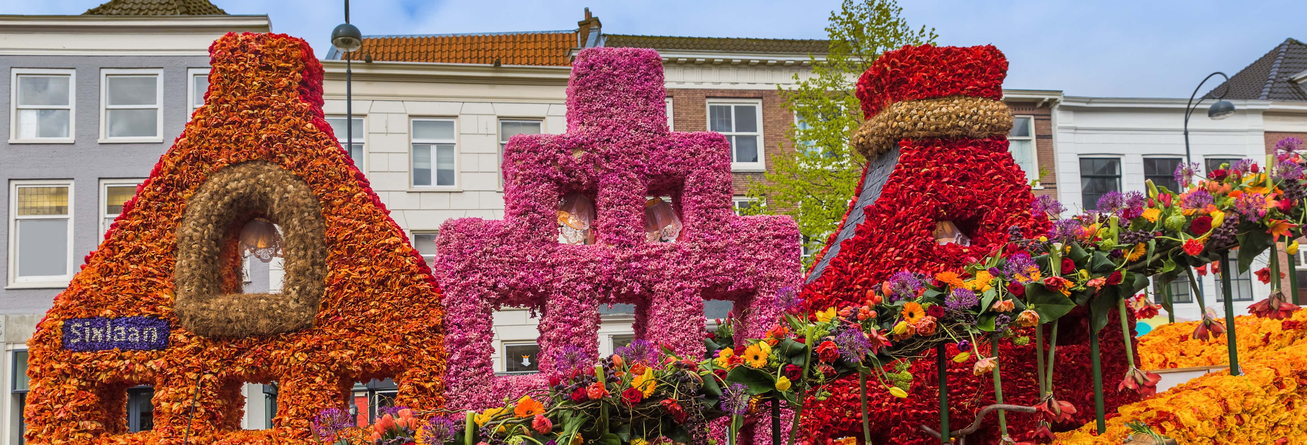 Tour di Haarlem in bicicletta
