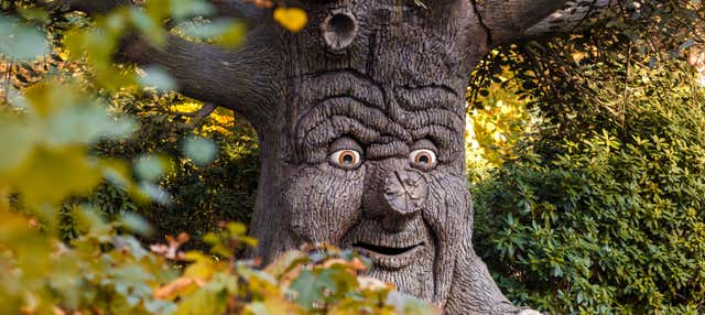 Biglietti per il parco tematico Efteling