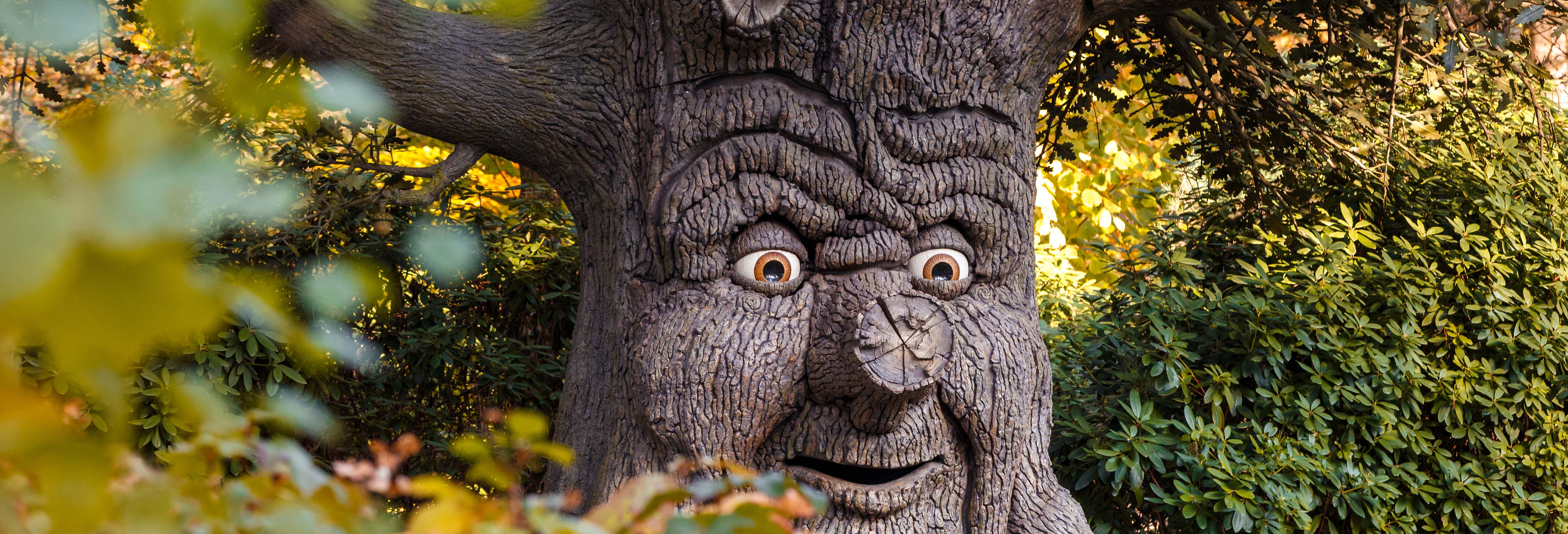 Biglietti per il parco tematico Efteling