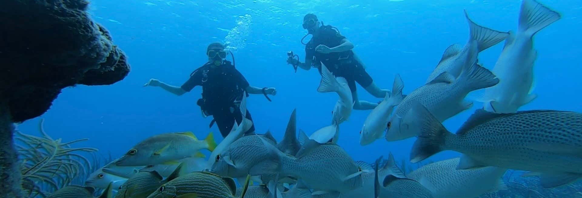 Immersione per principianti a Bonaire