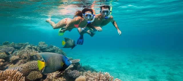 Snorkel en los arrecifes de Bonaire