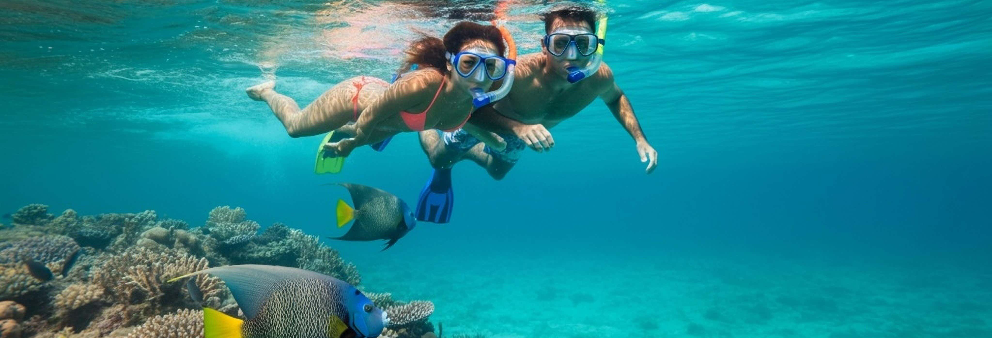 Snorkel en los arrecifes de Bonaire