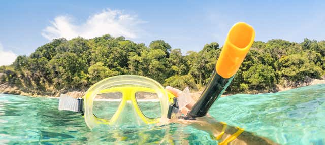 Snorkeling a Bonaire