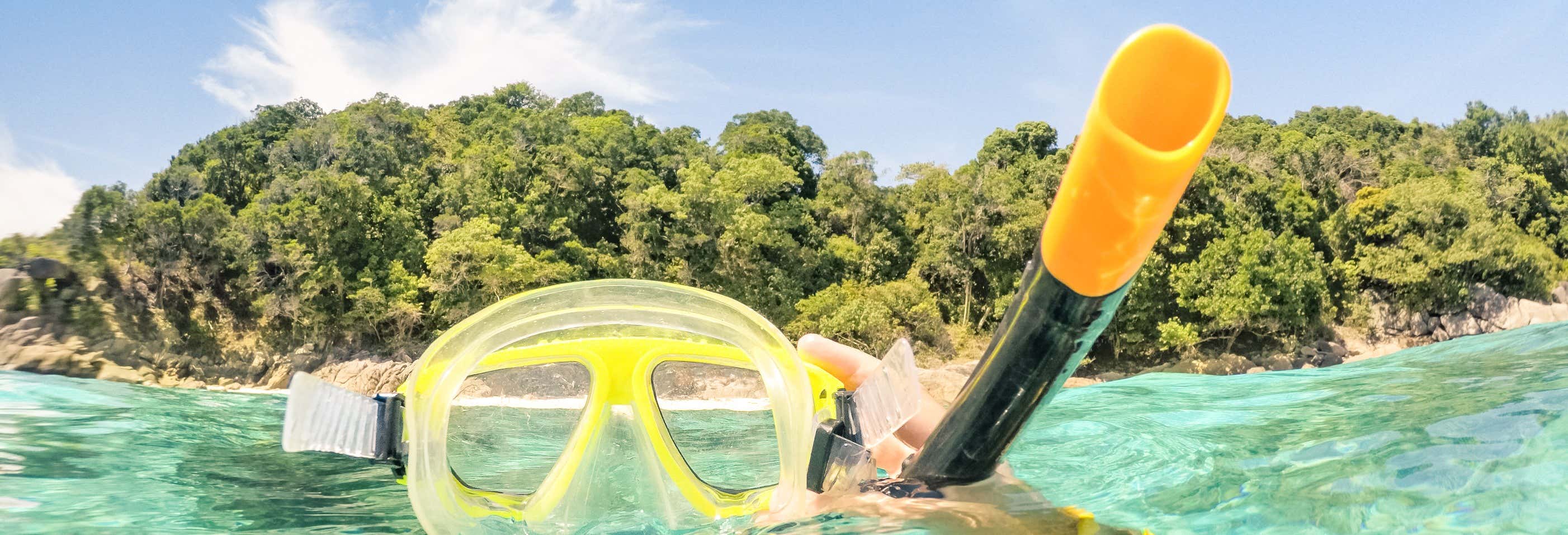 Snorkelling in Bonaire