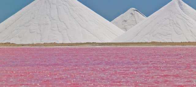 Tour panoramico di Bonaire